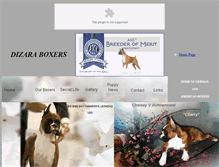 Tablet Screenshot of dizaraboxers.com